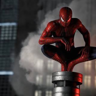 Spider 4k PC wallpaper