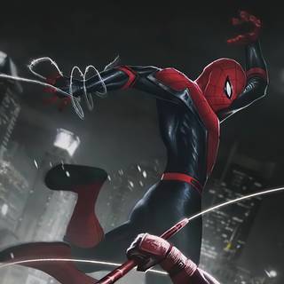 Spider 4k PC wallpaper