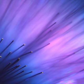 4k blue purple wallpaper