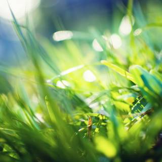 4k light color wallpaper