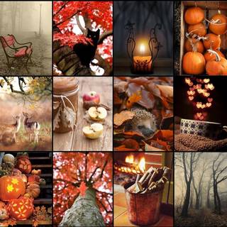 Desktop autumn collage wallpaper