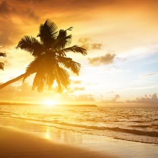 4k sea beach wallpaper