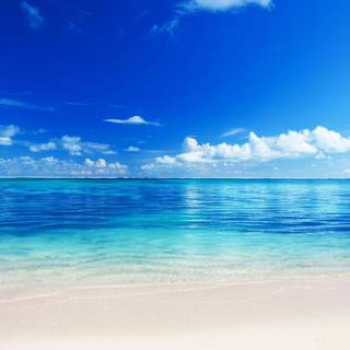 4k sea beach wallpaper