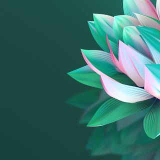 4k flower phone wallpaper