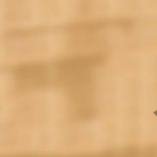 4k cute cat wallpaper