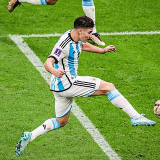 Julian Alvarez 4k wallpaper