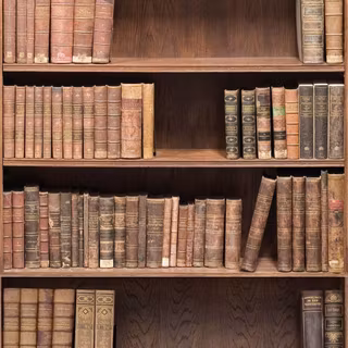 iPhone bookshelf wallpaper