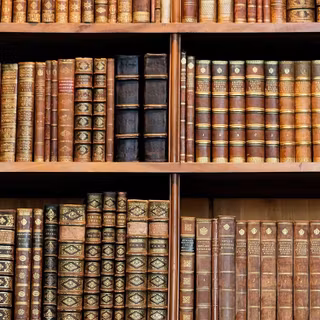 iPhone bookshelf wallpaper