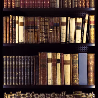 iPhone bookshelf wallpaper