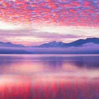 PC pink 4k wallpaper