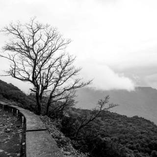 4k black nature wallpaper