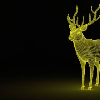 Animal 4k PC wallpaper