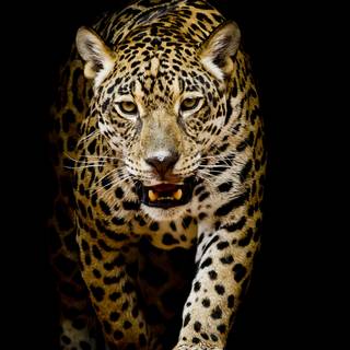 Black scenery 4k wallpaper