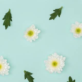 Pastel desktop 4k wallpaper