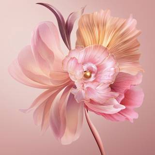 Pastel desktop 4k wallpaper