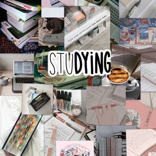 Studying aesthetic collage wallpaper