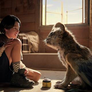 Chupa movie wallpaper