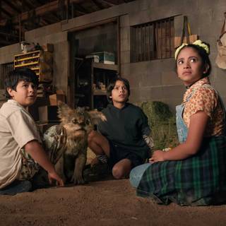 Chupa movie wallpaper