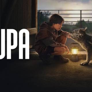 Chupa movie wallpaper