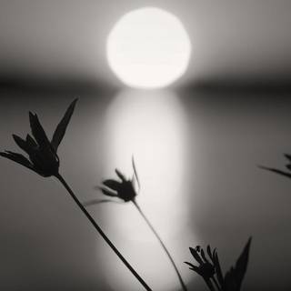 Mobile HD white wallpaper