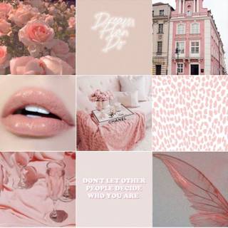 Vision boards pink wallpaper