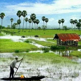 Morning village wallpaper