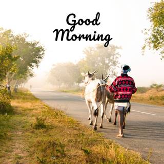 Morning village wallpaper