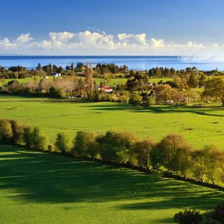 Morning village wallpaper