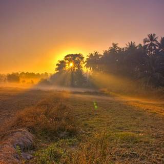 Morning village wallpaper