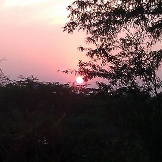 Morning village wallpaper