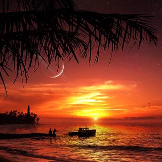 Night sunset wallpaper