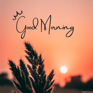 Morning village wallpaper