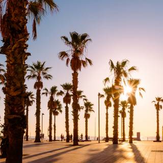 Barcelona beach wallpaper