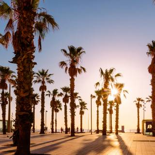Barcelona beach wallpaper