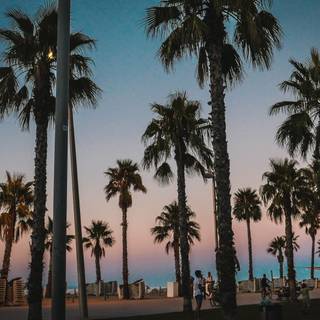 Barcelona beach wallpaper