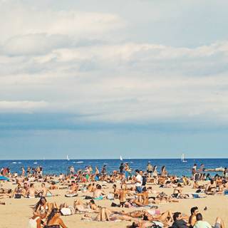 Barcelona beach wallpaper