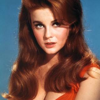 Ann-Margret wallpaper