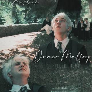 Harry Potter Draco Malfoy wallpaper