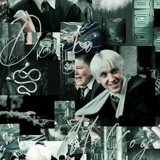 Harry Potter Draco Malfoy wallpaper