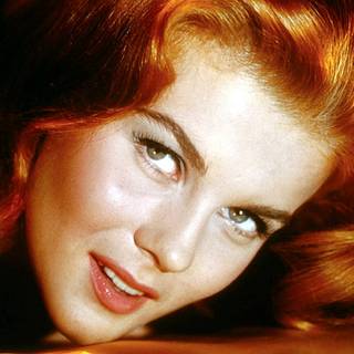 Ann-Margret wallpaper