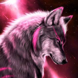 Pretty wolf wallpaper
