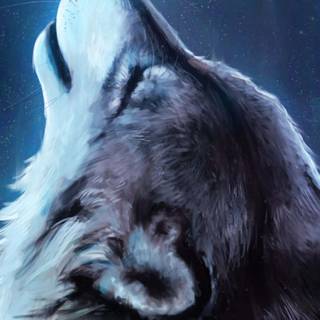 Pretty wolf wallpaper