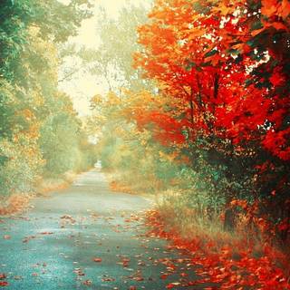 Dual monitor red wallpaper