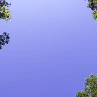 Baby blue 4k wallpaper