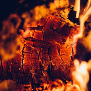 Fireplace 4k wallpaper