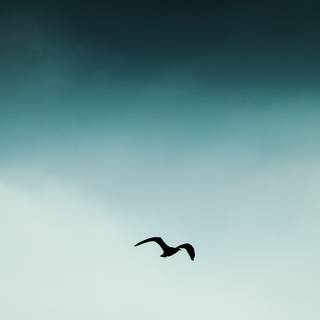 Album covers 4k wallpaper