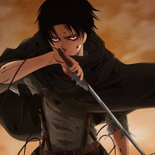 Levi 4k desktop wallpaper