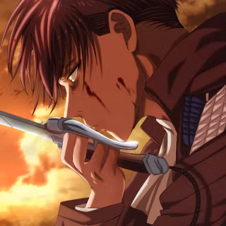 Levi 4k desktop wallpaper