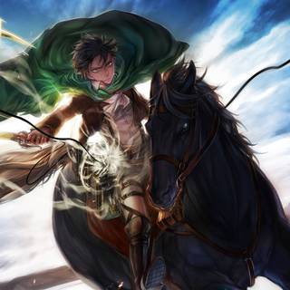 Levi 4k desktop wallpaper