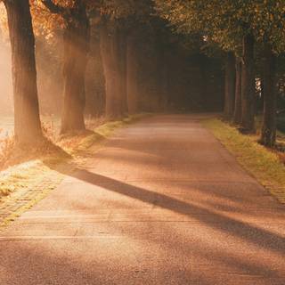 Autumn 4480x2520 wallpaper